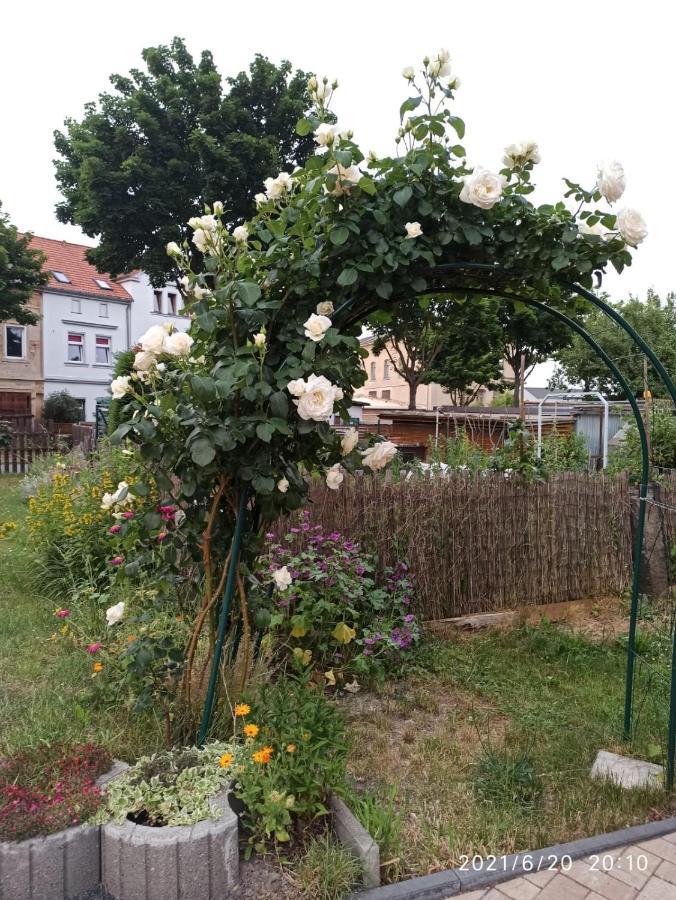 Appartement Dreilaendertreff à Zittau Extérieur photo