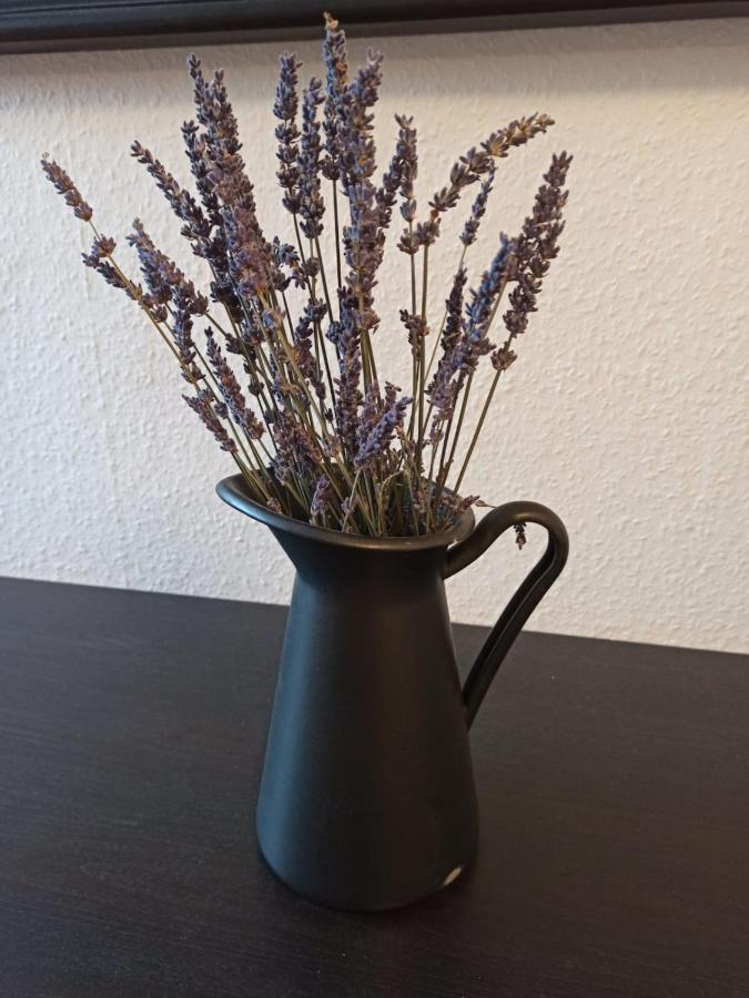 Appartement Dreilaendertreff à Zittau Extérieur photo